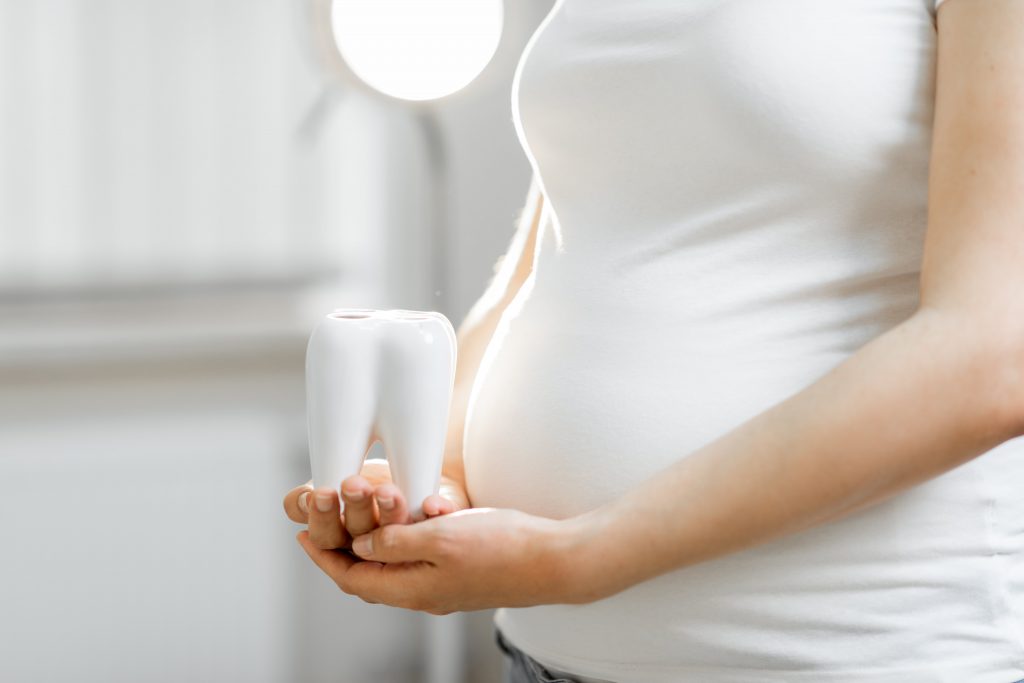 Image of a pregnant woman with a tooth model, emphasizing dental care during pregnancy.